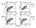 Fig. 09 - Antibodies for selective apoptosis of cells