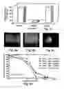 Fig. 12 - Antibodies for selective apoptosis of cells