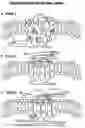 Fig. 01 - AMINO ACID SEQUENCES DIRECTED AGAINST GPCRS AND POLYPEPTIDES COMPRISING THE SAME FOR THE TREATMENT OF GPCR-RELATED DISEASES AND DISORDERS