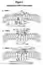 Fig. 02 - AMINO ACID SEQUENCES DIRECTED AGAINST GPCRS AND POLYPEPTIDES COMPRISING THE SAME FOR THE TREATMENT OF GPCR-RELATED DISEASES AND DISORDERS