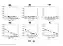 Fig. 35 - Methods and compounds for lymphoma cell detection and isolation