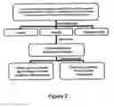 Fig. 03 - Microorganisms for therapy