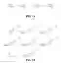 Fig. 09 - CHOLESTEROL-CONTAINING COMPOUNDS AND THEIR USE AS IMMUNOGENS AGAINST BORRELIA BURGDORFERI