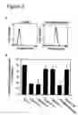 Fig. 09 - Interaction of with epithelial cells, extracellular matrix proteins and the complement system