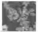 Fig. 01 - Stable silver colloids and silica-coated silver colloids, and methods of preparing stable silver colloids and silica-coated silver colloids