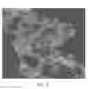 Fig. 03 - Stable silver colloids and silica-coated silver colloids, and methods of preparing stable silver colloids and silica-coated silver colloids