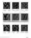 Fig. 02 - Multiblock Copolymers with Shape-Memory Properties