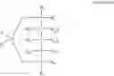 Fig. 16 - Use of tellurium containing compounds as nerve protecting agents