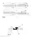 Fig. 08 - Ion sensor for fluid and method for its manufacture