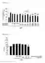 Fig. 02 - Pharmaceutical composition comprising metadoxine and garlic oil for preventing and treating alcohol-induced fatty liver and steatohepatitis