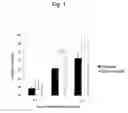 Fig. 02 - Processed product of fenugreek seeds and method for producing the same