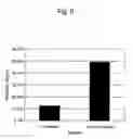 Fig. 07 - Processed product of fenugreek seeds and method for producing the same