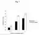 Fig. 08 - Processed product of fenugreek seeds and method for producing the same
