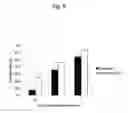 Fig. 09 - Processed product of fenugreek seeds and method for producing the same