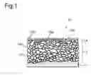 Fig. 02 - NEGATIVE ELECTRODE FOR NONAQUEOUS SECONDARY BATTERY
