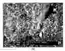 Fig. 01 - Basic refractories composition containing magnesium orthotitanate and calcium titanate, process for its production and uses thereof