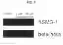 Fig. 06 - PARALLEL PROFILLING OF SIGNALING PATHWAYS