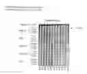 Fig. 28 - Methods of diagnosing endometriosis in human subjects using the ME-5 polypeptide
