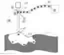 Fig. 01 - Apparatus and method for the deposition of biological material in a target substrate