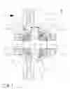 Fig. 02 - Differential provided with a drive wheel