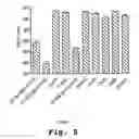 Fig. 06 - Antisense antiviral compound and method for treating arenavirus infection