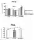 Fig. 02 - ACYLAMIDE COMPOUNDS HAVING SECRETAGOGUE OR INDUCER ACTIVITY OF ADIPONECTIN