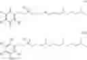Fig. 06 - Treatment of pervasive developmental disorders with redox-active therapeutics