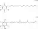 Fig. 15 - Treatment of pervasive developmental disorders with redox-active therapeutics