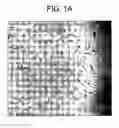 Fig. 02 - Intercalation agent free compositions useful to make nanocomposite polymers
