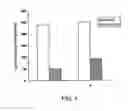 Fig. 02 - FUSION PROTEIN CONSTRUCTS