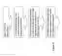 Fig. 15 - NUCLEOTIDE SEQUENCING VIA REPETITIVE SINGLE MOLECULE HYBRIDIZATION