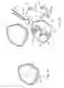 Fig. 02 - LANCING DEVICE FOR TAKING BLOOD, COMPRISING A LEG SPRING