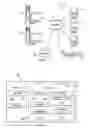 Fig. 02 - Wire fault illumination and display