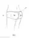 Fig. 02 - SHAPE ENHANCING GARMENT
