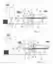 Fig. 02 - Process for the manufacture of a three-dimensional nonwoven, manufacturing line for implementing this process and resulting three-dimensional, nonwoven product