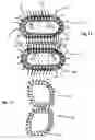 Fig. 07 - Process for the manufacture of a three-dimensional nonwoven, manufacturing line for implementing this process and resulting three-dimensional, nonwoven product