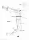 Fig. 02 - Temporary pharyngeal airway