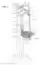 Fig. 02 - Tree stand protection system