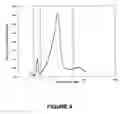 Fig. 05 - Extra mesoporous Y zeolite