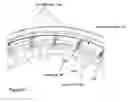 Fig. 07 - Radially inwardly directed electron beam source and window assembly for electron beam source or other source of electromagnetic radiation