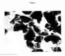 Fig. 02 - Submicron rare-earth borates and preparation/luminoshors thereof