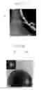 Fig. 07 - Core-shell nanowire comprising silicon rich oxide core and silica shell