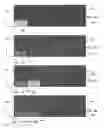 Fig. 06 - Process and system for laser crystallization processing of film regions on a substrate to minimize edge areas, and structure of such film regions
