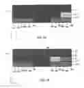 Fig. 07 - Process and system for laser crystallization processing of film regions on a substrate to minimize edge areas, and structure of such film regions
