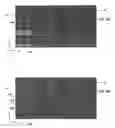 Fig. 09 - Process and system for laser crystallization processing of film regions on a substrate to minimize edge areas, and structure of such film regions