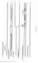 Fig. 11 - Address detection circuit and address detection method