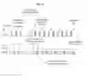 Fig. 06 - Method of transmitting and receiving frame in a wireless communication system