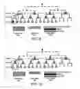 Fig. 06 - Apparatus, methods and computer program products providing a common signaling entry for a modular control channel structure