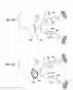 Fig. 41 - Orthovoltage radiotherapy