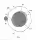 Fig. 32 - Orthovoltage radiotherapy